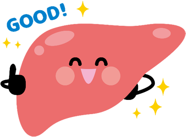 肝臓イラスト